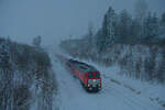 232 283 WFL und 155 110 WFL mit einem leeren Holzzug bei Neusorg Richtung Hof, 24.01.2021