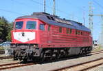 232 527 beim Rangieren am 14.09.2024 in Warnemünde.