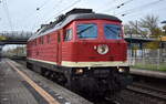 Wedler Franz Logistik GmbH & Co. KG, Potsdam mit ihrer  232 535-5  (NVR:  92 80 1232 535-5 D-WFL ) am 28.10.24 Durchfahrt Bahnhof Berlin Hohenschönhausen.