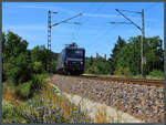 Unterhalb der Burgruine Saaleck, deren Türme im Hintergrund zu sehen sind, rollt 143 295-4 der WEE mit ihrem Ersatzzug Richtung Halle.