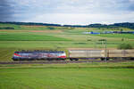 189 212 MRCE/WLE  Linked by Rail  mit dem Warsteiner Containerzug bei Oberdachstetten Richtung Ansbach, 17.07.2020  