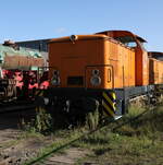 MIBRAG 12384 (LEW 12384) am 30.09.2023 bei der MaLoWa in Benndorf.