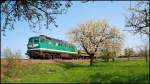 Es ist Frhling geworden. Am 18.04.2011 rhrt V300 003 mit einem Sandzug in Richtung Ronneburg. 