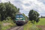 V300 003 mit einem leeren Sandzug nach Kayna in der Reichstdter Senke kurz vor Frankenau (12.08.2013)