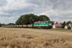 V300 005 mit einem Leerzug am 12.08.2013 bei Hartha.