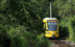 Man sieht nicht alles - 

... auch nicht das starke Gefälle, da die Zahnradbahn hier herunter kommt. Eine gelbe Bahn im Grünen, aufgenommen oberhalb der Haltestelle Liststraße.

Stuttgart, 29.06.2024 (M)