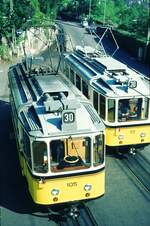 SSB Stuttgart__Zahnradbahn__Die verschiedenen Baujahre (fast) mit Einheitsgesicht. Die Fensteraufteilung ist nach wie vor unterschiedlich, auch die Position der Lufthähne.__17-06-1975