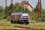 Auf einem Abstellgleis des Bahnhofs Großkorbetha ruhte sich die neue HSL-Jubiläumslok 2019 307-8 (Stadler Euro9000) aus.