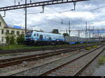 D-ELP - Lok 90 80 2019 319-3 mit Güterzug unterwegs in Pratteln am 2024.10.02 ... Standort des Fotografen ausserhalb der Geleise auf der Strasse