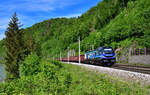 2019 311 mit einem Güterzug am 04.05.2024 bei Ingling.