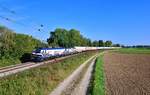 159 221 + 193 825 mit DGS 47162 am 23.09.2021 bei Langenisarhofen.