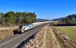 159 231 mit einem Schnittholzzug am 01.03.2022 bei Kerschhofen.