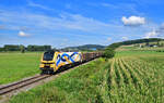 159 231 mit einem Holzzug am 02.08.2022 bei Hengersberg.