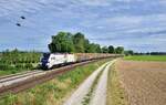 159 237 mit einem Holzzug am 07.08.2022 bei Langenisarhofen.