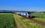 159 210 mit einem Kesselzug am 29.06.2023 bei Pankofen.