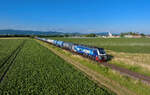 159 210 mit einem Kesselzug am 29.06.2023 bei Pankofen.