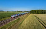 159 210 mit einem Kesselzug am 29.06.2023 bei Stephansposching.