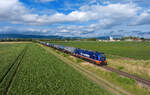 159 220 mit einem Kesselzug am 27.07.2023 bei Pankofen.