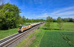 159 256 mit einem Knickkesselzug am 06.05.2024 bei Schwarzwöhr.