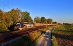 159 259 mit einem Kesselzug am 07.09.2024 bei Langenisarhofen.