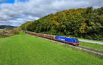 159 888 mit einem Holzzug am 15.10.2024 bei Hengersberg.