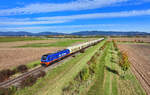 159 888 mit einem Schnittholzzug am 16.10.2024 bei Pankofen.