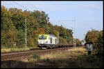 Captrain 248035-8 ist hier am 16.10.2024 um 12.28 Uhr mit einem Rungen Wagen Zug bei Natrup-Hagen auf der Rollbahn in Richtung Münster unterwegs.