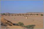 Italienische Brückenarchitektur im fernen Eritrea, die Brücke von Moncullo.(07.12.2014)