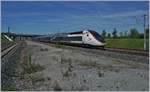 Der SNCF TGV 4734 auf dem Weg nach Mulhouse erreicht den Bahnhof Belfort-Montbéliard TGV. 

1. Juni 2019