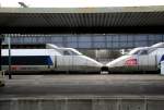 SBB trifft SNCF. Zwei TGV der unterschiedlichen Bahnverwaltungen sind in Paris Gare de Lyon zusammengekuppelt; 02.01.2011