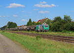 Roppenheim - 16. August 2024 : Die BB 75114 fährt aus dem Roquette Anschlussgleis mit Getreidewagen nach hausbergen. Dieses Gleis lâuft parallel der Strecke bis nach Roeschwoog.