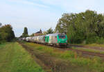 Gambsheim - 21. August 2024 : Die BB 75128 mit dem Roquette von Roeschwoog nach Hausbergen.