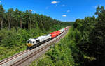 077 009 mit einem Containerzug am 06.08.2024 bei Regenstauf.