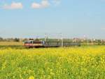 BB 25613 mit einem TER Strassburg - Saverne.