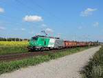 Hochfelden - 25.09.17 : 37011 mit ein Rastatt Umleiter Kehl - Forbach.