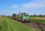 Melsheim - 6. Juni 2024 : Von Akiem an CFL Cargo gemietete 37027 mit einem Güterzug von Strasbourg nach Bettembourg.