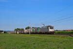 Melsheim - 25. Juli 2024 : BB 37035 mit 27051 am 71343 Von Lieussaint-Moissy nach Hausbergen.