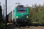 SNCF 437040. Auf der Fahrt nach Mulhouse habe ich den heranbrausenden Gterzug im Bild festgehalten. 12.10.2006