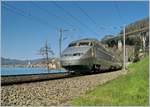 TGV 9261 Paris - Brig kurz vor Villeneuve am 29.