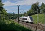 Der von Paris kommende TGV Lyria 9269 mit dem Triebzug (Rame) 4404 kurz vor Bussigny und damit kurz vor seinem Ziel Lausanne. 

8. Juni 2019 