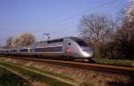 4412  Muggensturm  10.04.09