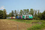 475125 hat am 19.08.2024 482 013 mit ihrem Zug aus Lauterbourg geschleppt und zieht ihn in Richtung Strasbourg.