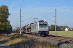 186 384 der akiem schleppte am 20.10.24 einen BLG-Autozug durch Wittenberg-Labetz Richtung Falkenberg(E).