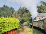 Die Dean Forest Railway durchfährt die Station Whitecroft ohne Halt, 14.9.2016