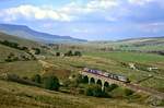 Ein Regionalzug auf der Linie Carlisle - Settle hat den Scheitelpunkt bei Ais Gill berwunden und rollt in den BAhnhof Garsdale ein, 03.09.2010.