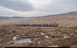 Zwei Scotrail Class 156 am 23.