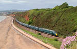 Eine wunderbare Fotostelle zwischen Dawlish und Dawlish Warren: ein leicht zu besteigender Hügel zwischen Gleisen und Meer.