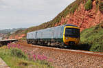 Regionalzug zwischen Blumen und roten Felsen unterwegs nach Exmouth. Dawlish Warren, 17.5.2022