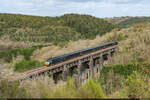 GWR 43 093 HST / St Pinnock Viaduct Liskeard, 15. April 2024<br>
Plymouth - Penzance