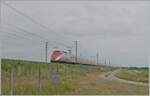 Kurz darauf erreichte in schneller Fahrt der FS Trenitlaia ETR 500 in der ursprünglichen Frecciarossa Lackierung meine Fotostelle bei Livorno Ferraris. Der Zug ist als Frecciarossa 9904 von Roma Termini nach Torino unterwegs. 

15. Juni 2024